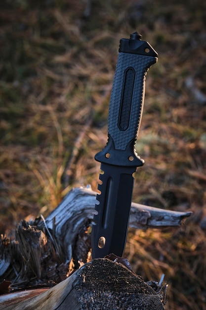 Photo tactical tourist knife stuck into tree stump against background sunset in forest