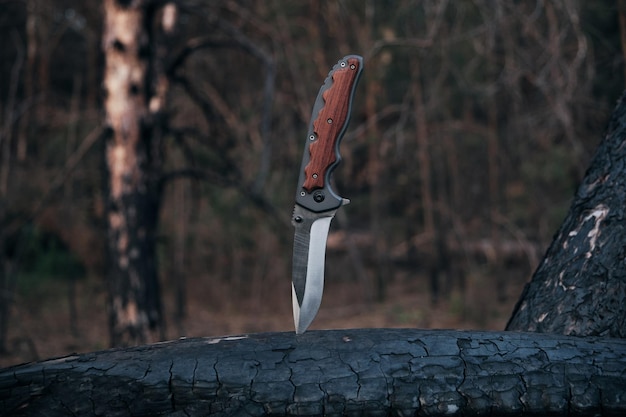 Tactisch mes om te overleven en te beschermen moeilijke omstandigheden vast in stamboom in bos
