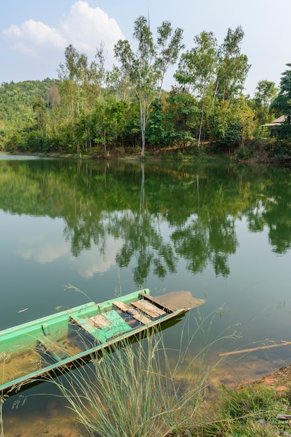 Girini sul piccolo fiume