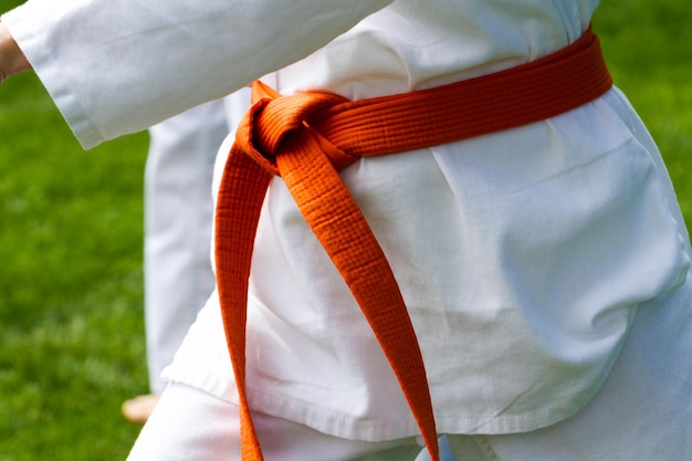 Tae Kwon Do student oefenen in het park.