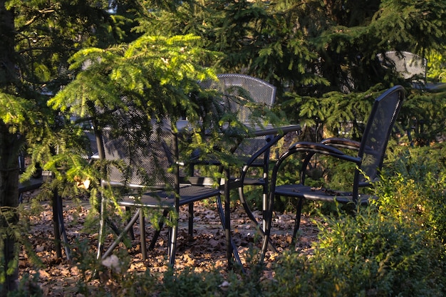 Tafel en stoelen in het bos