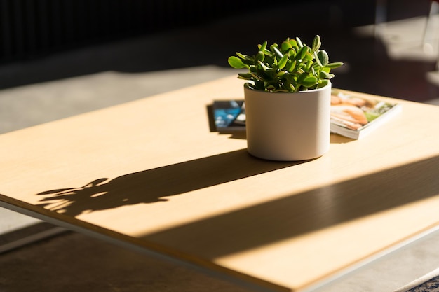 Tafel met een potplant en schaduwen van een raam