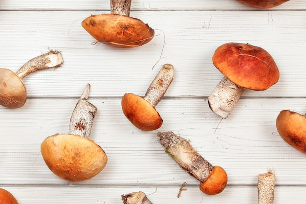 Tafelbladweergave - vers geoogste bospaddestoelen, red-capped scaber stengel (leccinum aurantiacum / albostipitatum), op witte houten planken.