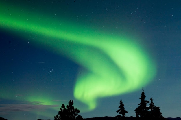 Taiga boomtoppen Aurora borealis wervelende substorm