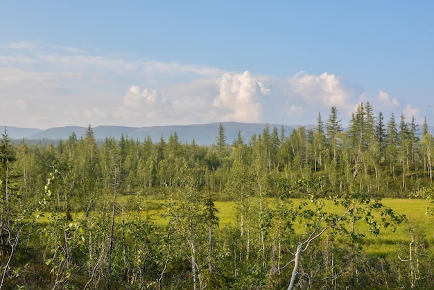 Taiga on the Putorana plateau