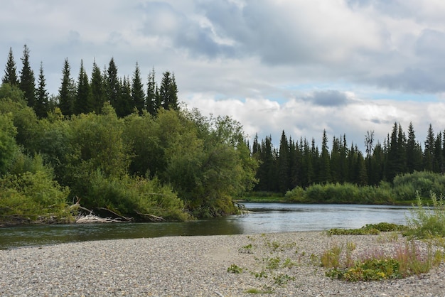 Taiga river in the Komi Republic