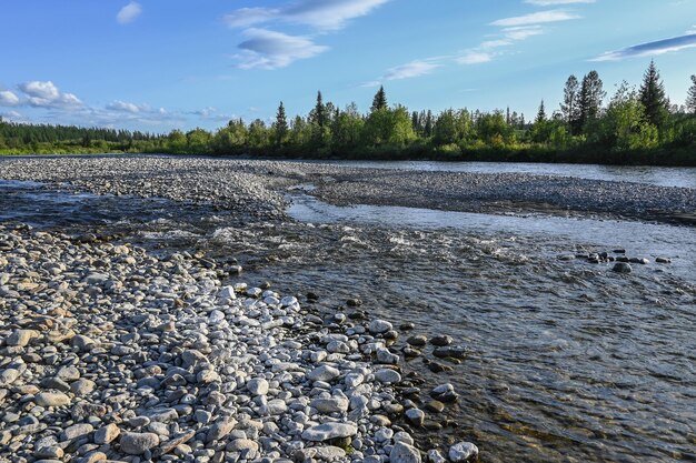 The taiga river of the Polar Urals