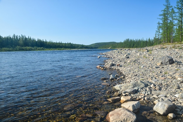 Taiga river in the summer in the Polar Urals