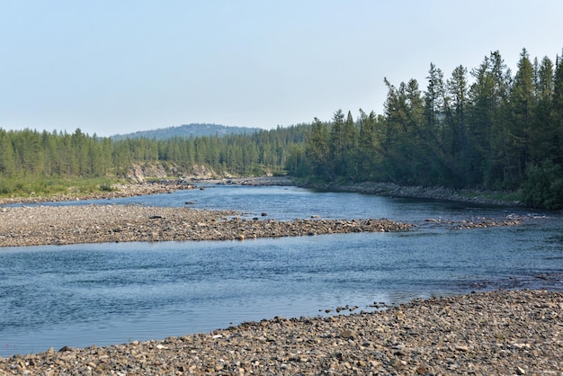 Taiga river