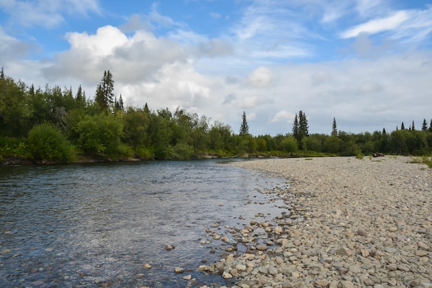Taiga rivier in de Komi Republiek