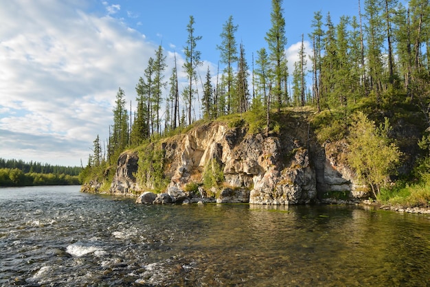 Taiga rivier in de Komi Republiek