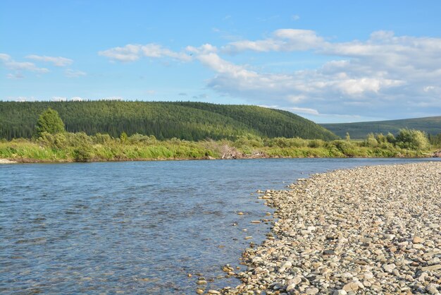 Taiga rivier in de Komi Republiek