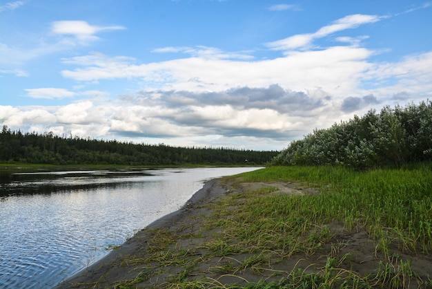 Taiga rivier in de zomer in de Polar Oeral