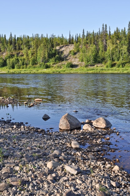 Taiga-rivier Paga Virgin Komi-bossen