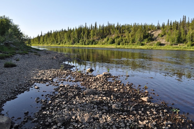 Taiga-rivier Paga Virgin Komi-bossen