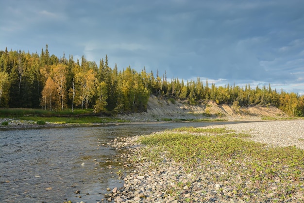 Taiga rivier