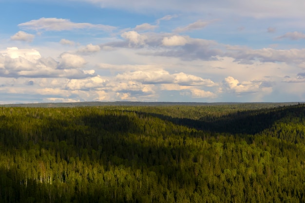 Taiga in summer with a birds eye view