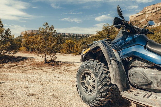 tail view of ATV quad bike