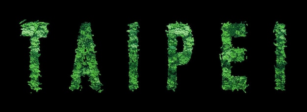 Taipei lettering Taipei Forest Ecology Concept