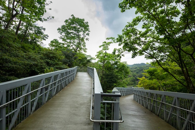 Taiwan New Taipei City Shifenliao Waterfall park bospad