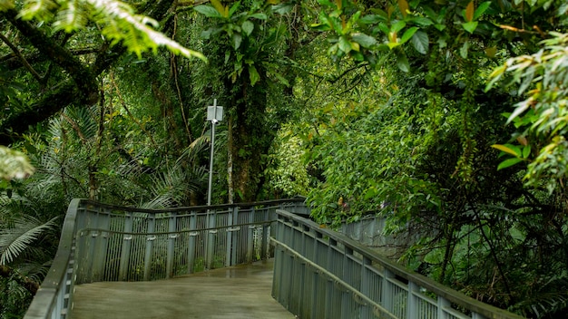 Taiwan New Taipei City Shifenliao Waterfall park forest trail