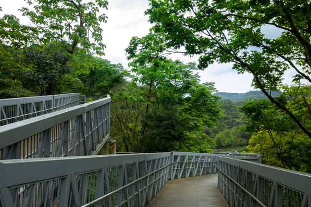 台湾新北市シフェンリアオ滝公園森林歩道