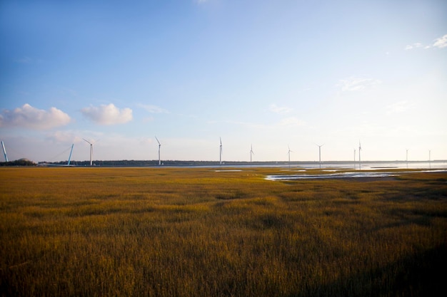 Taiwan Taichung West Coast attracties Gaomei Wetland park