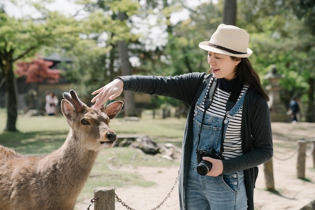 Taiwanese vrouw streelt zachtjes over het hoofd van het hert. aziatische toeristen dragende camera heeft interactie met het tamme wilde dier.