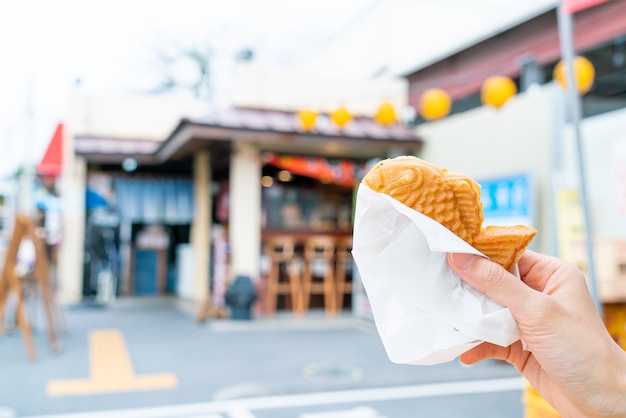 Taiyaki pancake fish shave in Japanese style