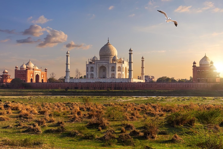 Taj Mahal achteraanzicht vanaf de weide van Agra India