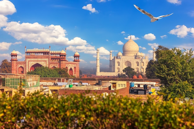 Taj Mahal Complex, view from Agra roof, India.