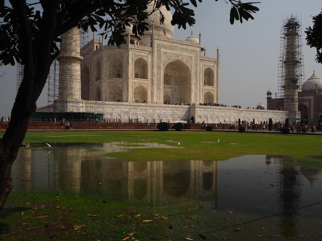 Foto il taj mahal si riflette sulla pozzanghera nel campo