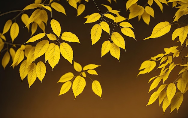 Tak met gele herfstbladeren op een donkere achtergrond