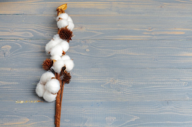 Tak met katoenen bloemen op houten achtergrond