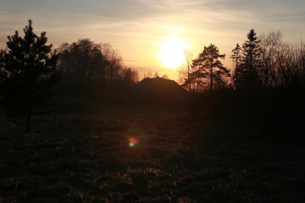 Tak op de lentezonsondergang