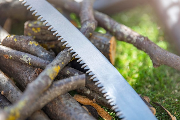 Tak snoeiende takzaag op bomenclose-up met exemplaarruimtestukken takken op groen gras als mede