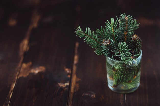 Tak van dennenboom in een waterglas