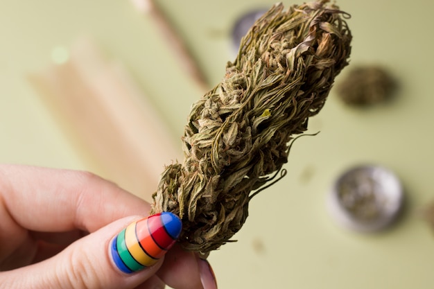 Foto tak van marihuana in de hand van een vrouw