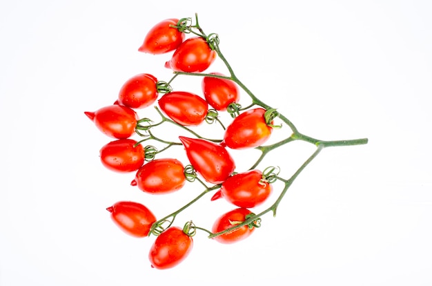 Tak van rijpe rode langwerpige tomaten. studiofoto.