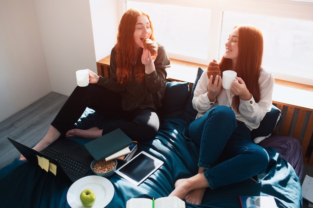 Take a break, eat in between classes.Two red-haired students study at home or in a student dormitory. Tthey are preparing for exams.