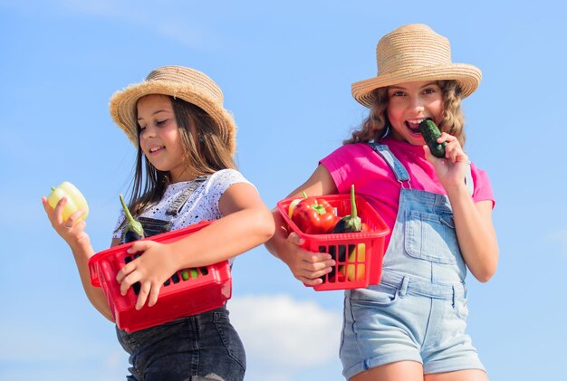 世話をする夏の農場の子供たち有機食品バスケットに入った小さな女の子の野菜自然な健康食品だけが幸せな生活です子供たちが秋の収穫収穫ビタミン春の市場の庭を耕作しています