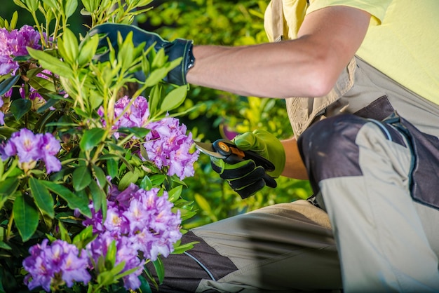 Taking Care of Flowers