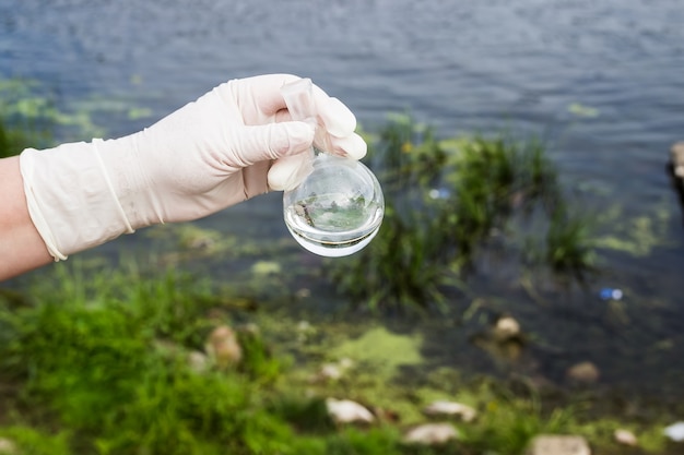 Taking a water sample in a pond to check water quality