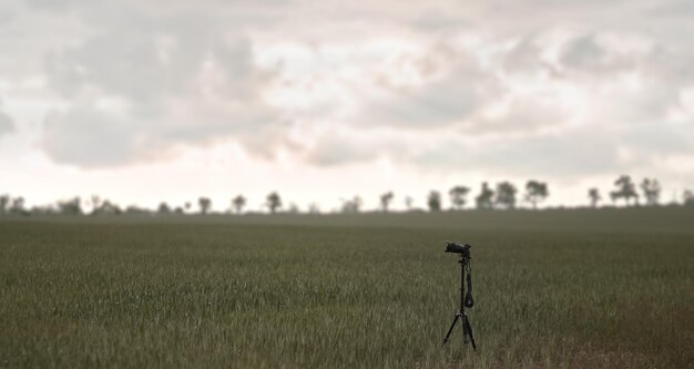 三脚にフィールドカメラで野生動物の写真を撮る牧草地には誰もいない