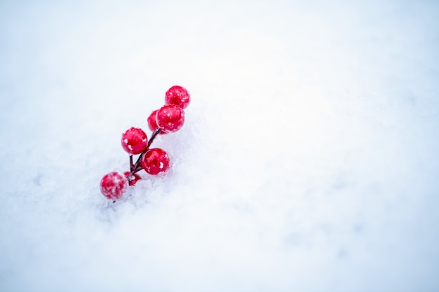 Takje met rode bessen in de sneeuw