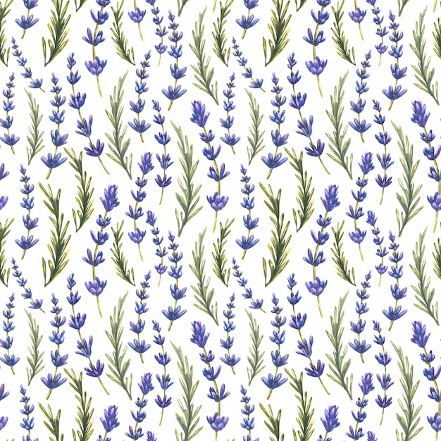 Takjes en bladeren van lavendelbloemen Aquarel naadloos patroon op een witte achtergrond Van een grote set van LAVENDER SPA Voor stoffen textiel prints behang covers verpakking papierafval