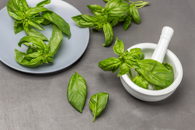 Takjes groene basilicum in een vijzel en op een bord