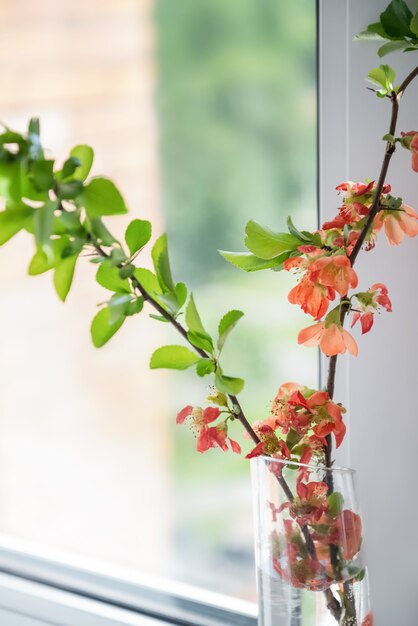 Takjes met groene bladeren en rode bloemen op vaas op vensterbank