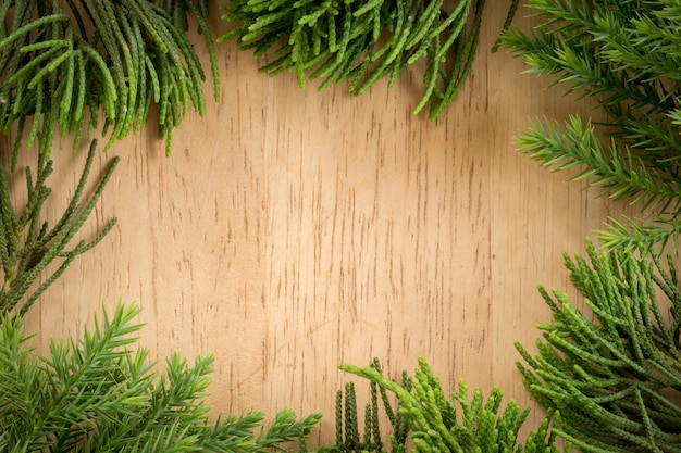 Takken arborvitae, Juniper takken op hout Kerst achtergrond