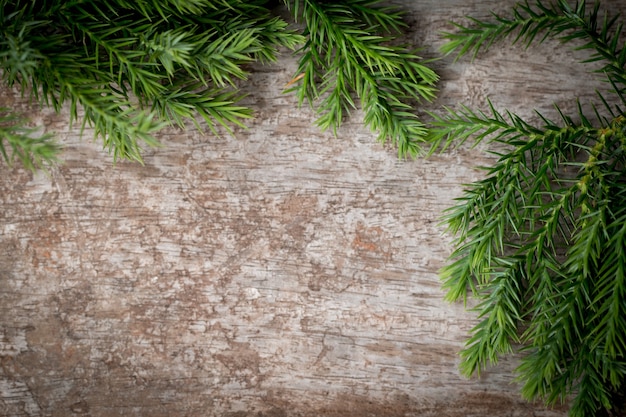 Takken arborvitae, Juniper takken op hout Kerst achtergrond